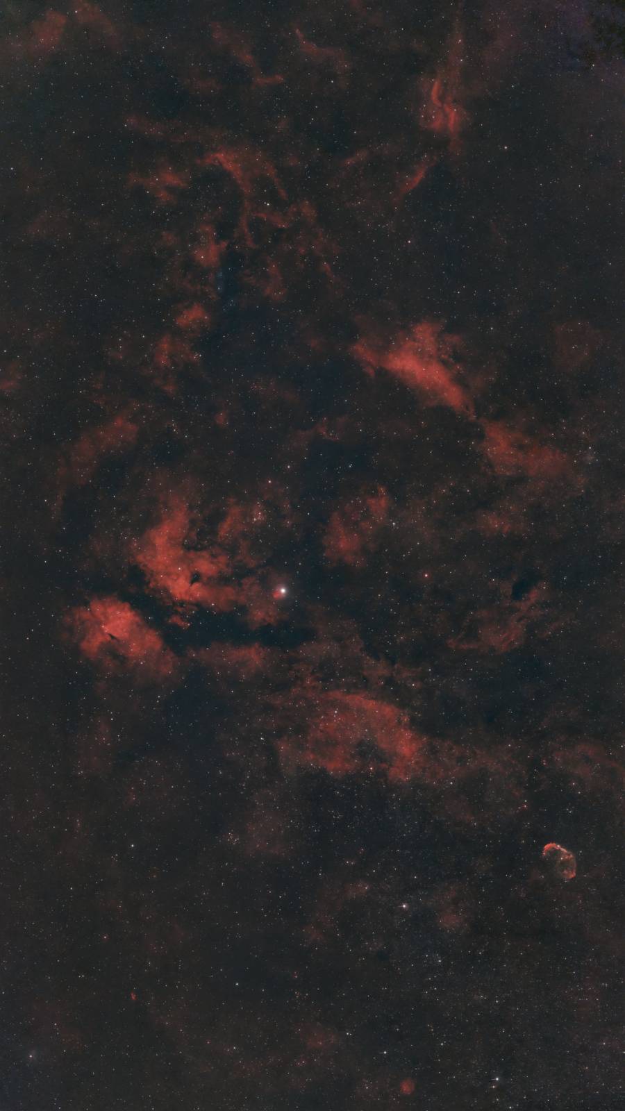 Red emission clouds and dark dust around Sadr in Cygnus, with the Crescent Nebula near the lower right