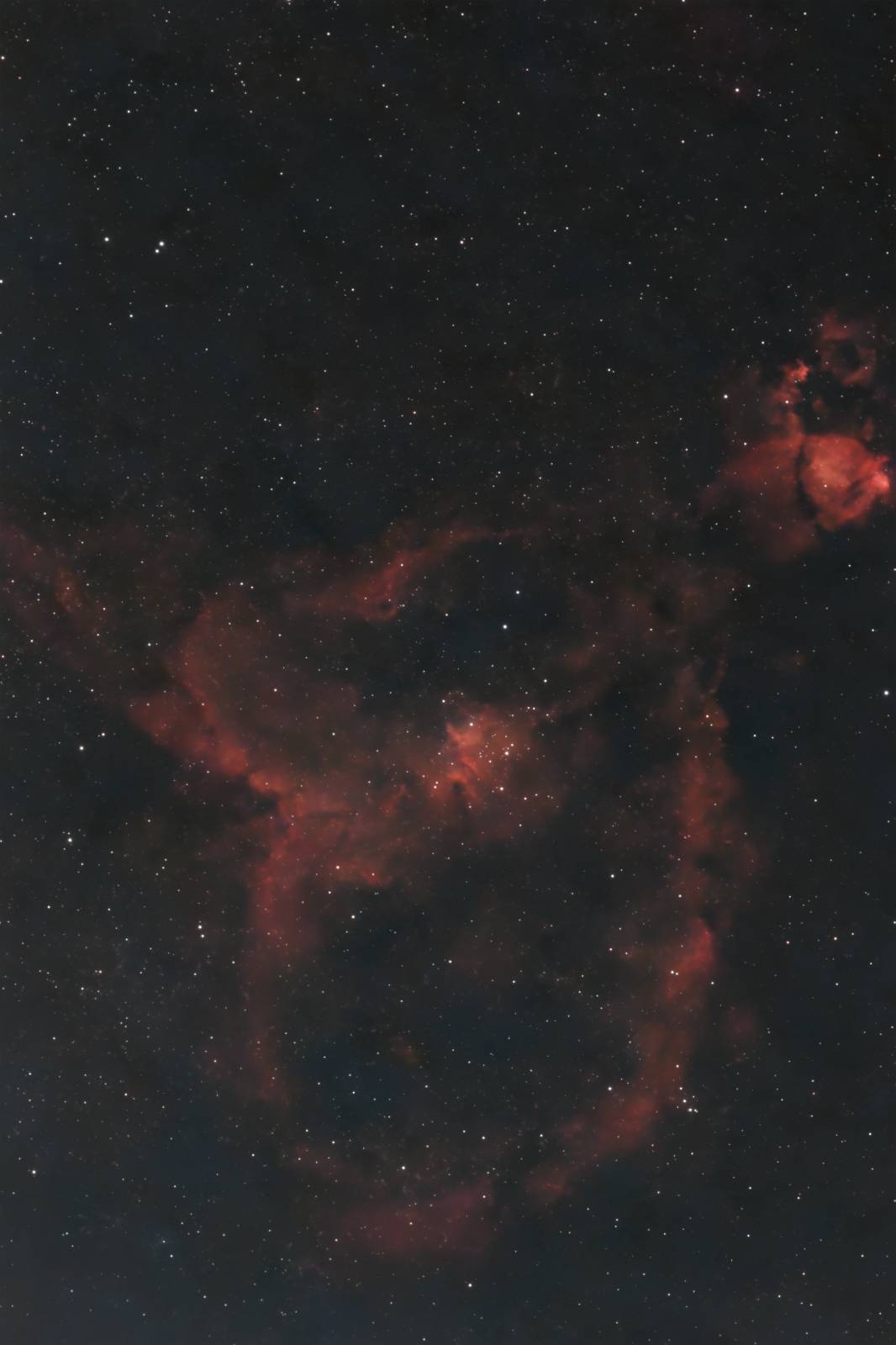 The red hydrogen clouds and dark dust lanes of the Heart Nebula