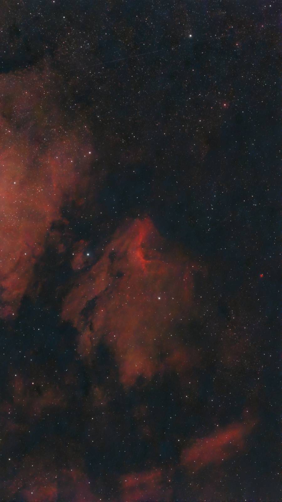 The glowing emission clouds and dark dust lanes of the Pelican Nebula