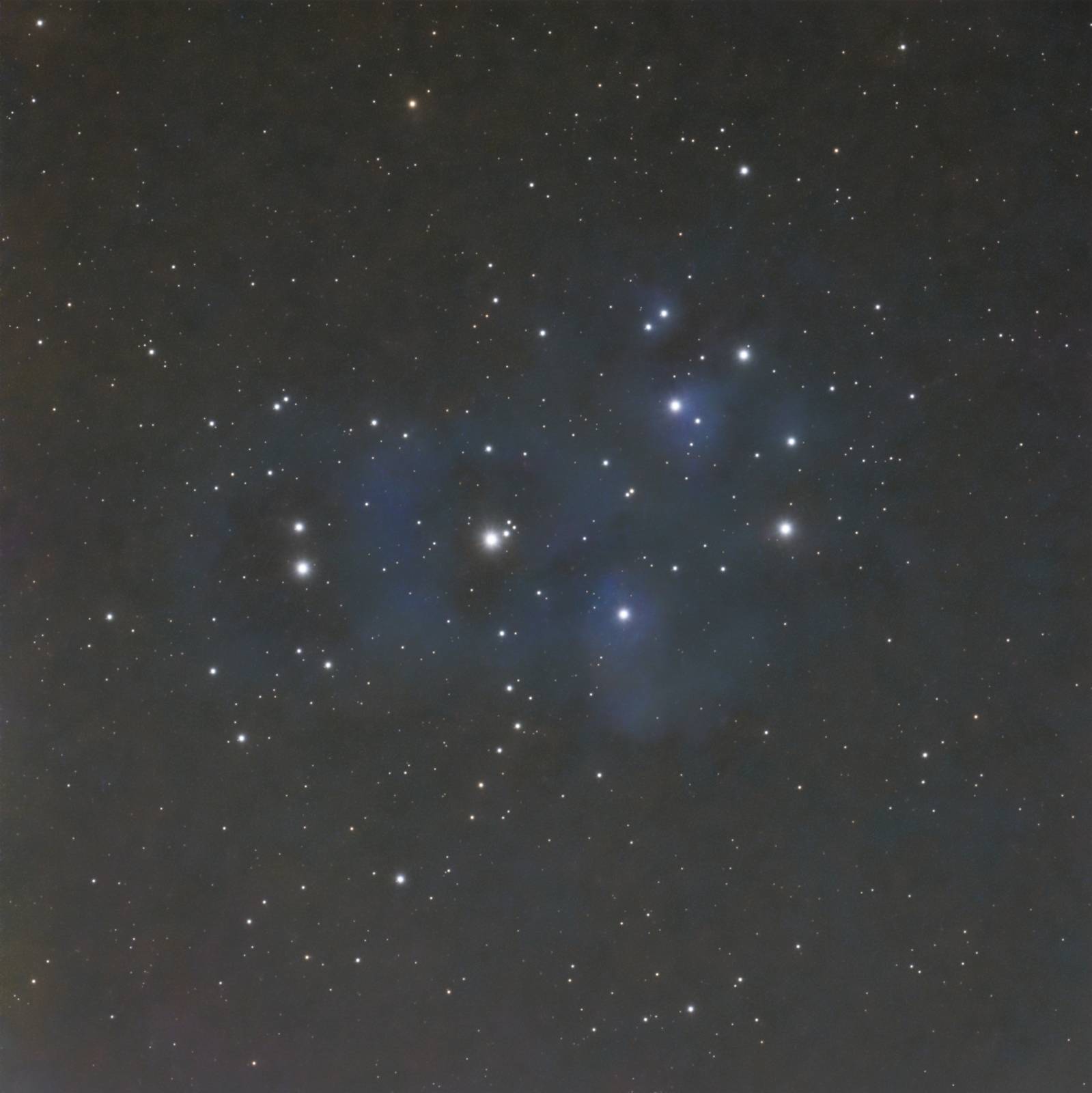 The bright blue stars and reflection nebulosity of the Pleiades