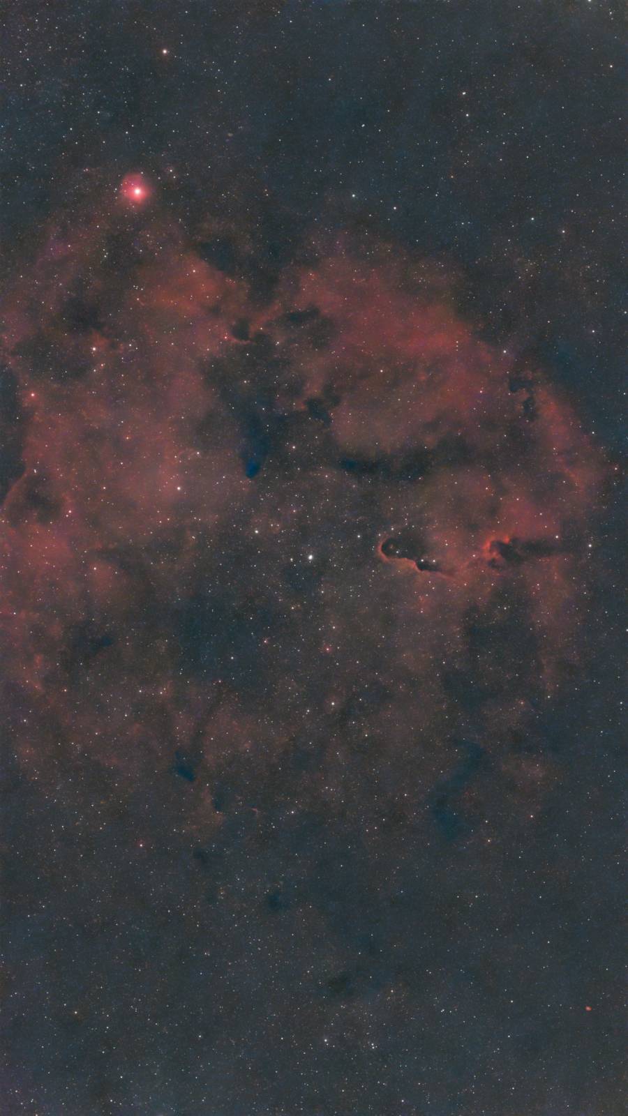 The dark Elephant's Trunk Nebula silhouetted against IC 1396