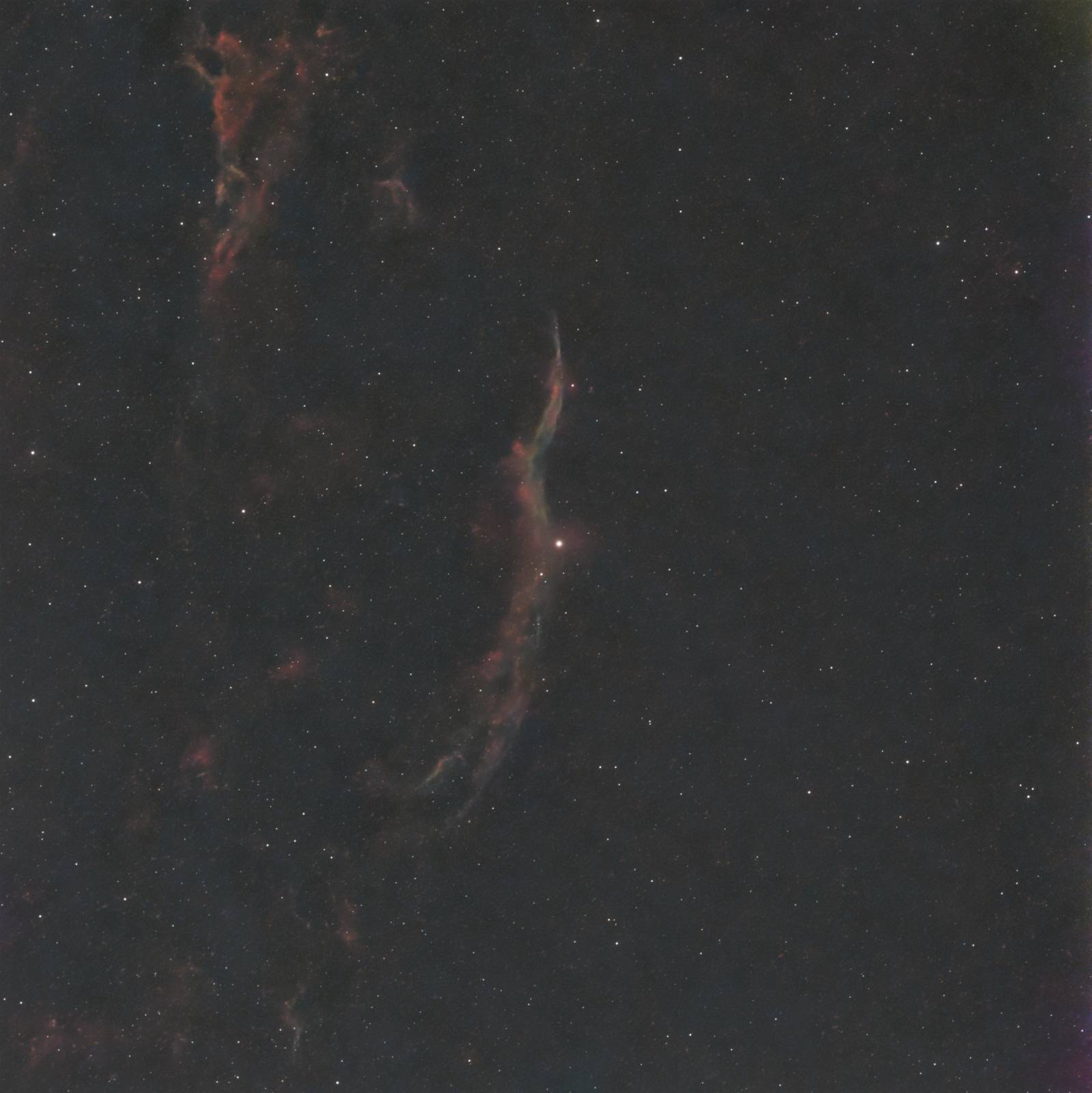 The long delicate filaments of the Western Veil Nebula