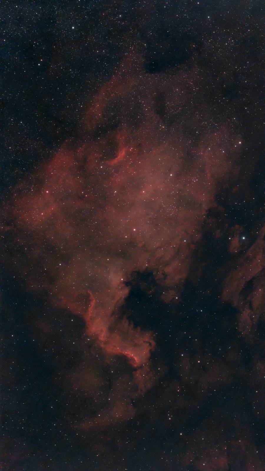 The red emission clouds and dark dust lanes of the North America Nebula